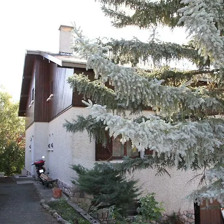 Chalet 300m2 Embrun